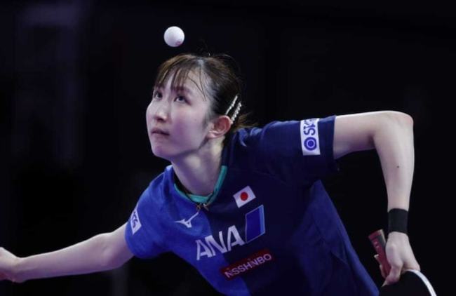 明星张本智 明星张本智